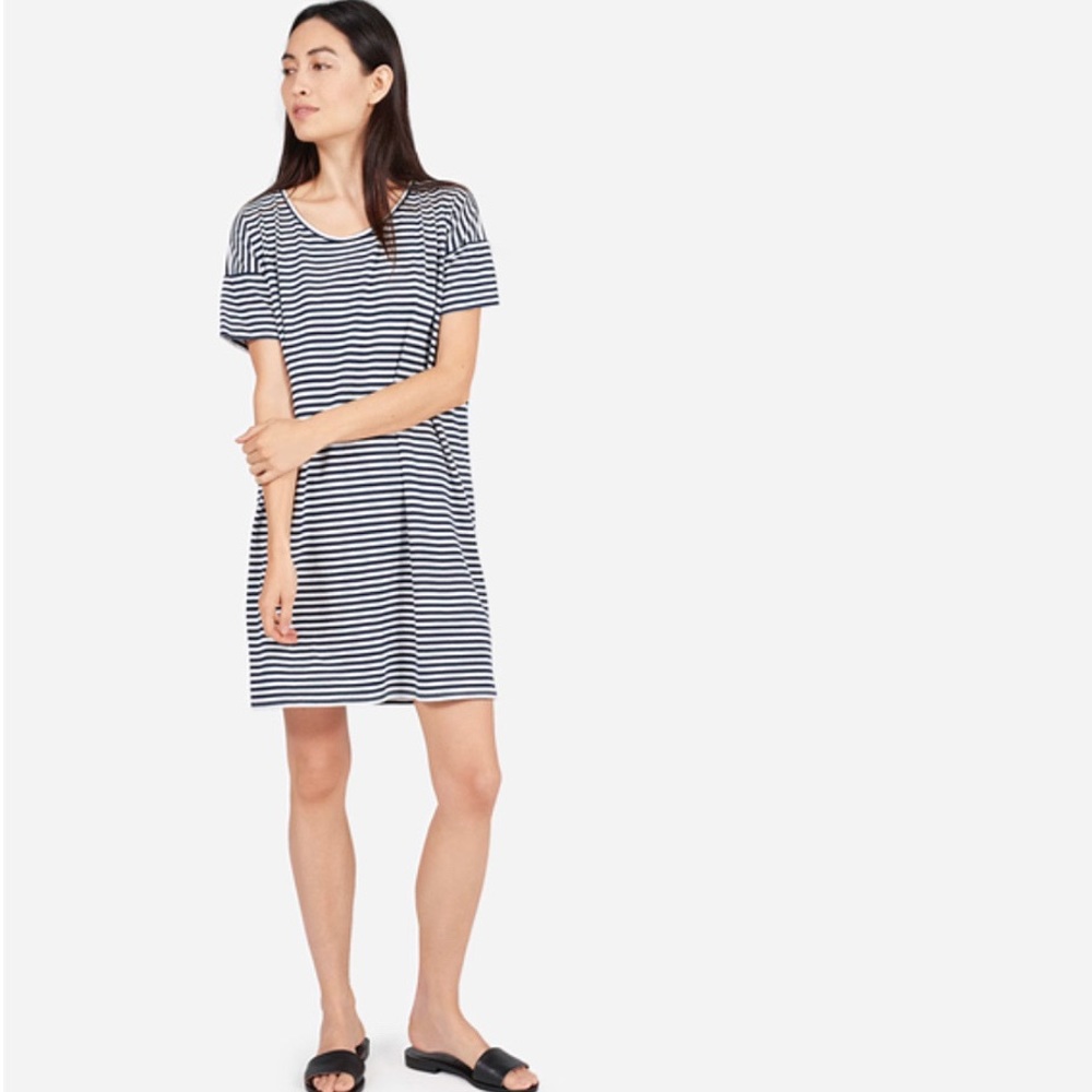 Everlane Cotton Navy/White Stripe T-Shirt Dress